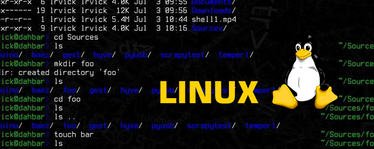 Linux Shell Scripting (3)