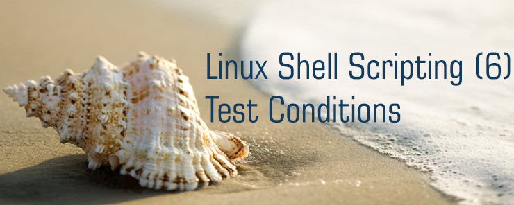 Linux Shell Scripting (6)