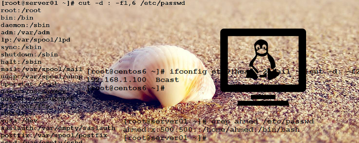 Linux Shell Scripting (15)