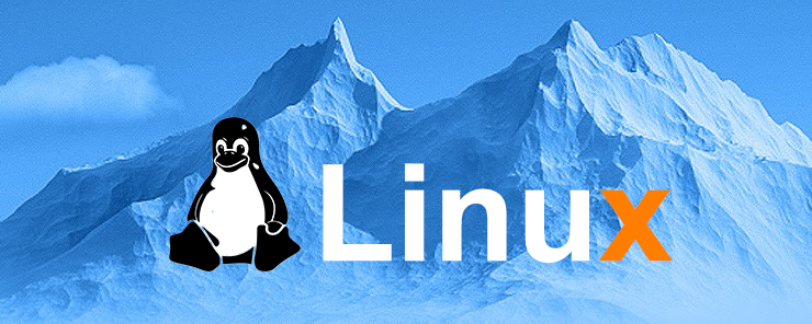 Linux Shell Scripting for Network