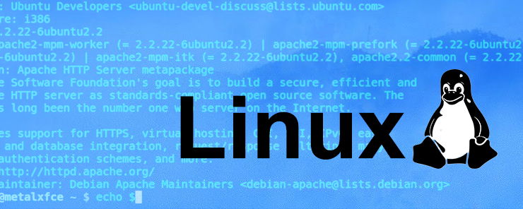 Linux Shell Scripting Scripting for Network Part 2
