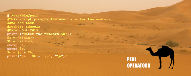 Perl (4) - Operators