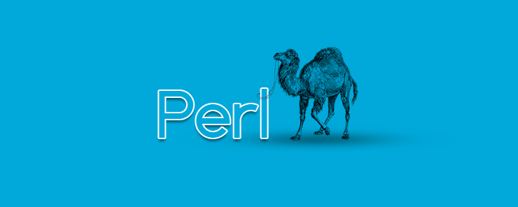 Perl (11) - Command Line Arguments 740X296