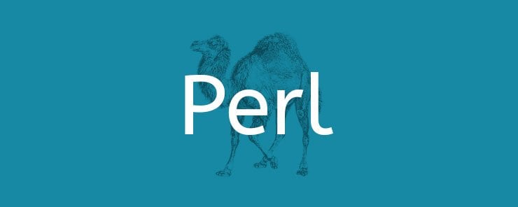 Perl-(16)---Pattern-Matching-(1)-740X296