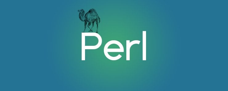 Perl-(17)-Pattern-Matching-(2)-740X296