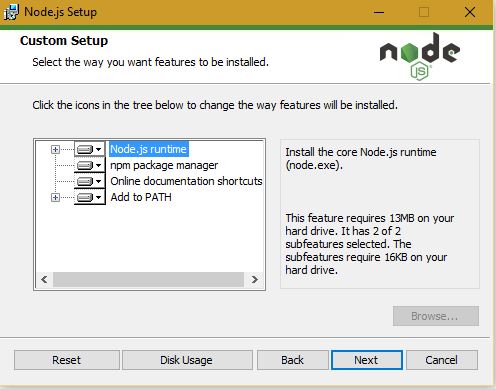 nodejs-custom-setup