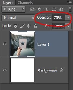 Layer Opacity