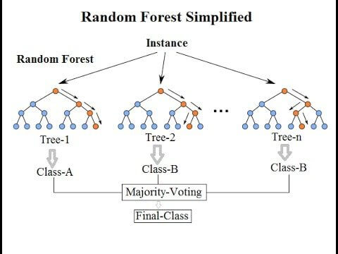 Random Forest