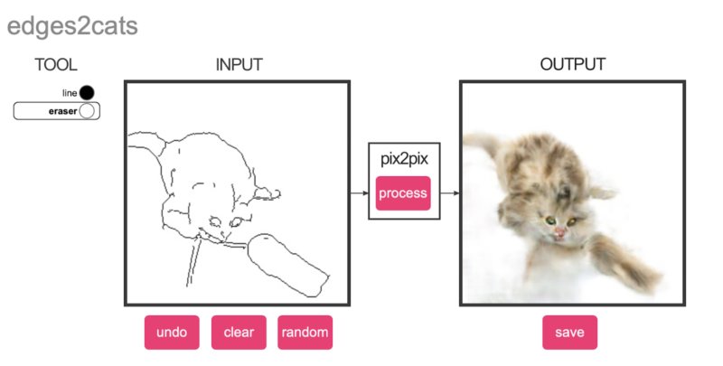 Figure 6. Screenshot taken from the demo website where edges are converted to cats
