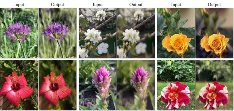 Figure 10. The Bokeh-Mode!