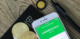 Bitcoin Wallets – Go Through the Different Types!