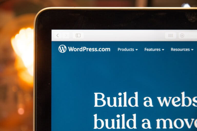 How does WordPress work?